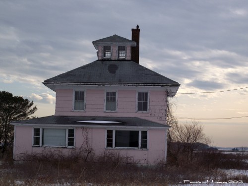 Red Tail Hawk on Pink House Chimney  ~ c. Pamela J. Leavey