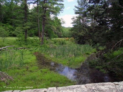 maudslay foot bridge