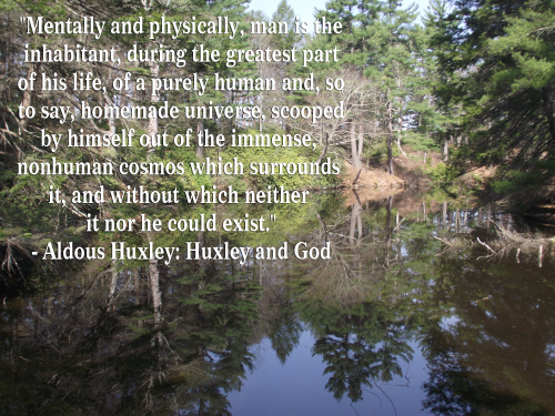 "Mentally and physically, man is the inhabitant, during the greatest part of his life, of a purely human and, so to say, homemade universe, scooped by himself out of the immense,  nonhuman cosmos which surrounds  it, and without which neither  it nor he could exist."   - Huxley and God - By Aldous Huxley