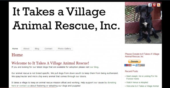 It Takes A Village Animal Rescue