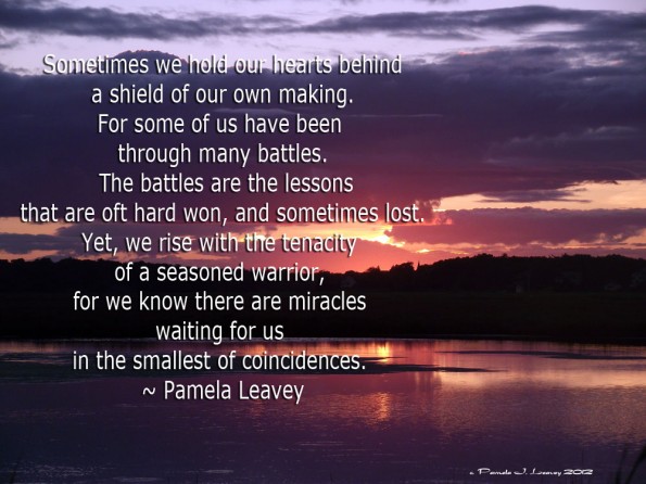 Sometimes we hold our hearts behind a shield of our own making. For some of us have been through many battles. The battles are the lessons that are oft hard won, and sometimes lost. Yet, we rise with tenacity of a seasoned warrior, for we know there are miracles waiting for us in the smallest of coincidences. 