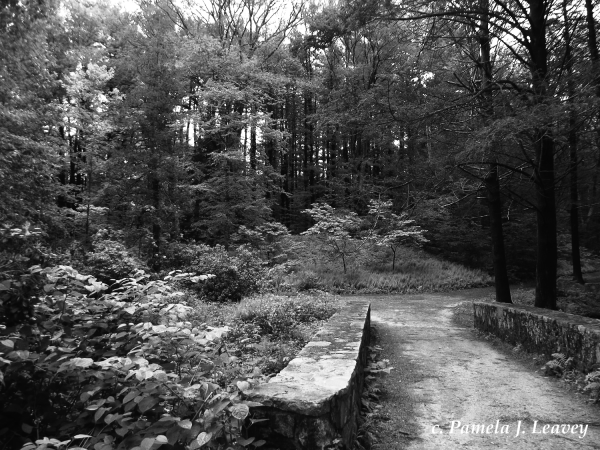 Maudslay Trail 2