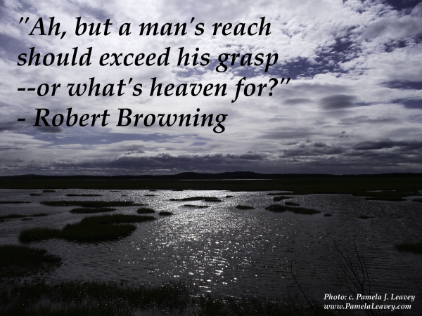  "Ah, but a man's reach should exceed his grasp--or what's heaven for?" - Robert Browning