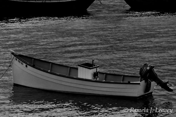 Boats at rest...