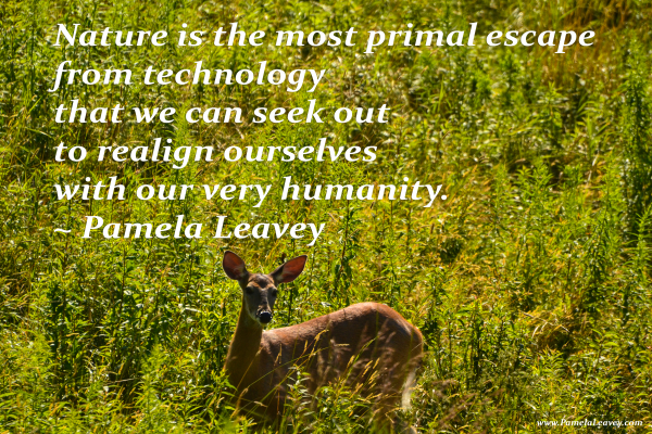 Nature is the most primal escape from technology that we can seek out to realign ourselves with our very humanity. ~ Pamela Leavey
