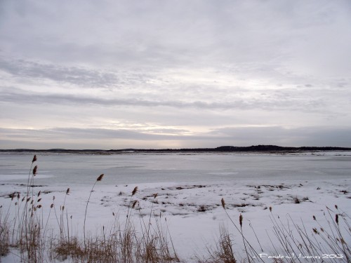 Winter on the Salt Pannes ~ c. Pamela J. Leavey