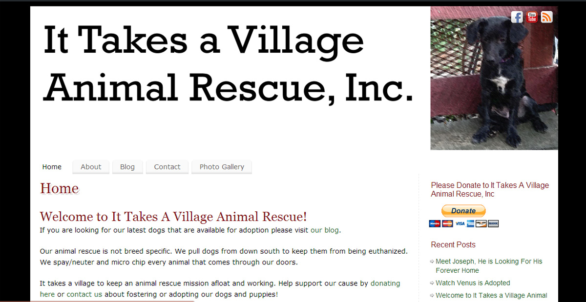 Animal village rescue как продать мусор