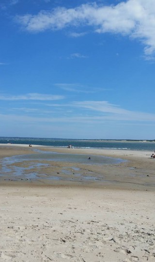 low tide sandy point