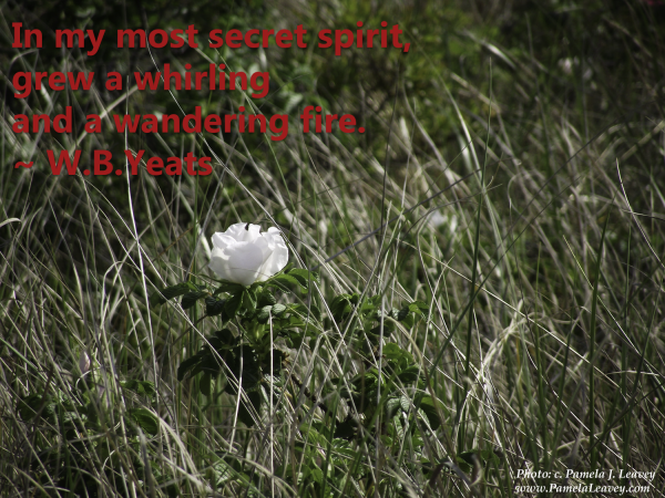In my most secret spirit,  grew a whirling  and a wandering fire. ~ W.B.Yeats